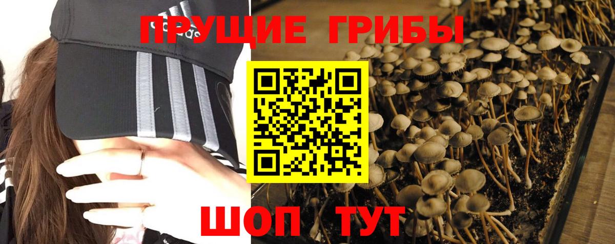 Галлюциногенные грибы MAGIC MUSHROOMS Бийск