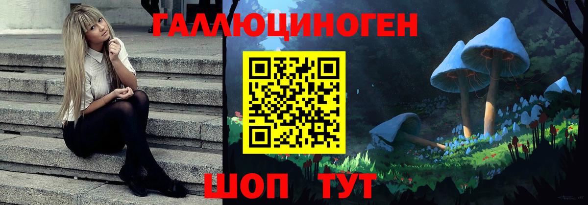 Галлюциногенные грибы Magic Shrooms  Галлюциногенные грибы прущие грибы  закладки  Бийск  Вход с VPN 