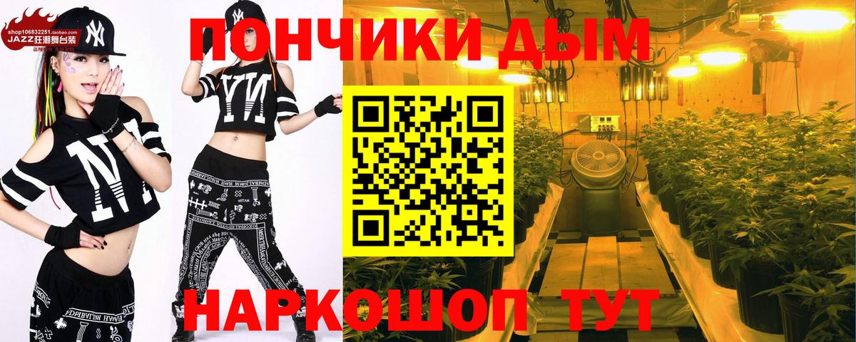 Бошки Шишки SATIVA & INDICA  Канабис SATIVA & INDICA  Вход с VPN  Бийск  Каннабис SATIVA & INDICA  Марихуана планчик 